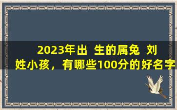 2023年出  生的属兔  刘姓小孩，有哪些100分的好名字